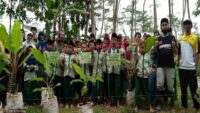 Pentasyarufan 1000 Bibit Pisang, Untuk Bekali Santri Dibidang Entrepreneur