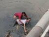 Pria asal Cilacap yang gagal bunuh diri di Tegal karena sungainya dangkal