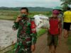 Aksi Babinsa Jajaran Kodim Cilacap Dalam Penanggulangan Pasca Bencana Banjir di Majenang