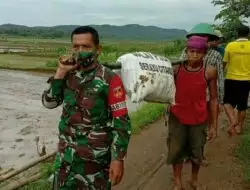 Aksi Babinsa Jajaran Kodim Cilacap Dalam Penanggulangan Pasca Bencana Banjir di Majenang