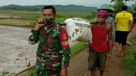Aksi Babinsa Jajaran Kodim Cilacap Dalam Penanggulangan Pasca Bencana Banjir di Majenang