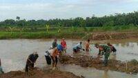 Babinsa Koramil 05 Nusawungu Bersama Warga Bersihkan Aliran Sungai Mbodo