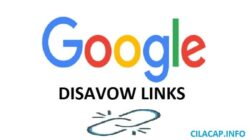 Cara Benar Disavow Backlink di Google Webmaster Tools