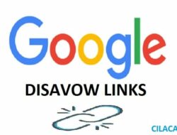 Cara Benar Disavow Backlink di Google Webmaster Tools