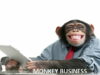 ilustrasi Monkey Business