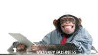 Apa itu Istilah Monkey Business?