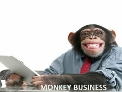 Apa itu Istilah Monkey Business?