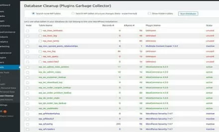 ilustrasi Plugins Garbage Collector untuk delete database wordpress