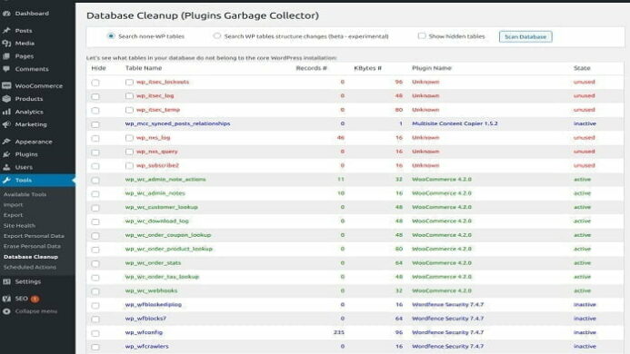 ilustrasi Plugins Garbage Collector untuk delete database wordpress