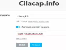 Cara Custom Domain Tumblr dengan Domain atau Subdomain Sendiri
