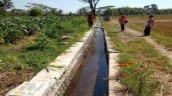50 Ha Lahan di Boyolali kini Terairi