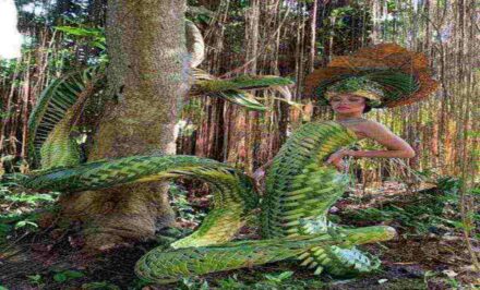 Yalangoch chiroyli tana fotosurati Yalangoch chiroyli tana fotosurati