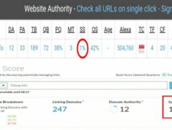 Cara Ampuh Menurunkan Spam Score Website dan Kelebihannya