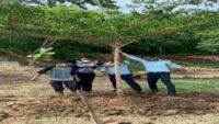 Kabapas Tanam Pohon di Lingkungan Kantor Bapas Nusakambangan