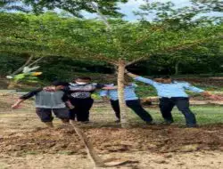 Kabapas Tanam Pohon di Lingkungan Kantor Bapas Nusakambangan