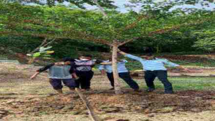Kabapas Tanam Pohon di Lingkungan Kantor Bapas Nusakambangan