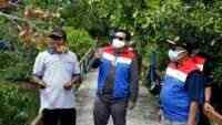 Melihat Keindahan Mangrove Berguguran Binaan Pertamina di Laguna Segara Anakan Cilacap