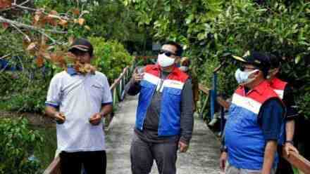 Melihat Keindahan Mangrove Berguguran Binaan Pertamina di Laguna Segara Anakan Cilacap