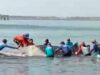 momen KKP dan Nelayan di Cilacap selamatkan Hiu Paus yang terjerat jaring