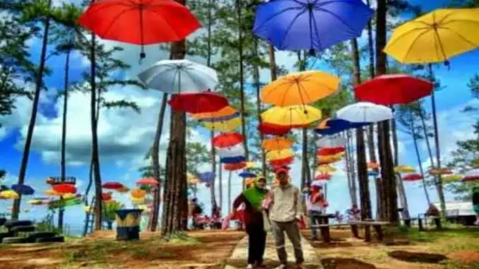 obyek wisata kemit forest di sidareja cilacap