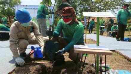 Pertamina Cilacap Meraih Rekor Muri Penanaman Tumbuhan Aromatik Atsiri Endemik