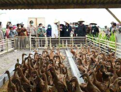 Syahrul Yasin Limpo Kunjungi Karanganyar Tinjau Kawasan Budidaya Integrated Farming dan Pertanian