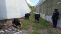 RUTIN LAKUKAN COBRA (CONTROL BERANGGANG), KONDISI LAPAS HIGH RISK PASIR PUTIH AMAN