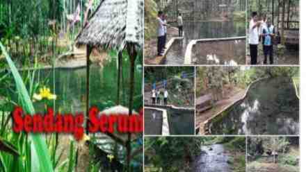Sendang Seruni Wisata di Banyuwangi Paling Dekat Dengan Gunung Raung dan Ijen