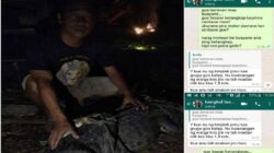2 Buaya Anakan di Cilacap Tertangkap Warga Kawunganten dan Kampung Laut