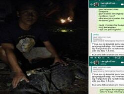 2 Buaya Anakan di Cilacap Tertangkap Warga Kawunganten dan Kampung Laut