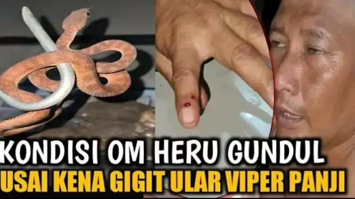 tangkapan layar video youtube panji petualang