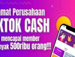Tegas, Kominfo Blockir Situs Money Game TikTok Cash
