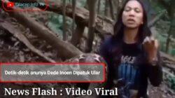 Video Viral Detik-Detik Dede Inoen digigit Ular di bagian Vital
